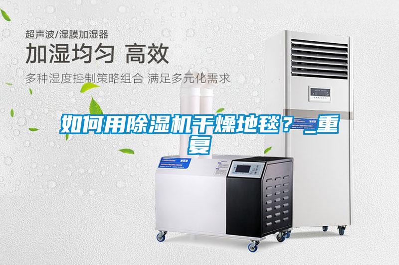 如何用除濕機干燥地毯？_重復