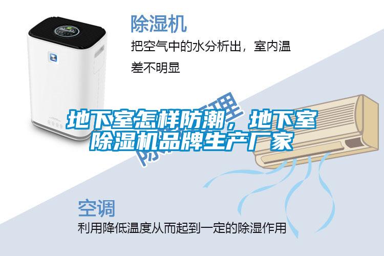 地下室怎樣防潮，地下室除濕機(jī)品牌生產(chǎn)廠家