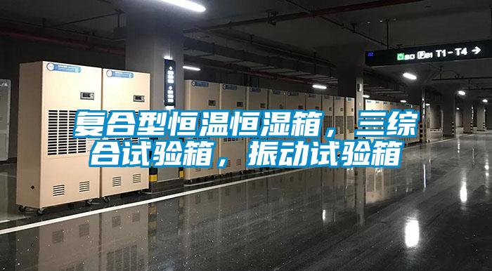 復(fù)合型恒溫恒濕箱，三綜合試驗箱，振動試驗箱