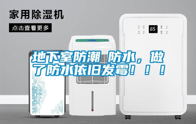 地下室防潮≠防水，做了防水依舊發(fā)霉?。?！