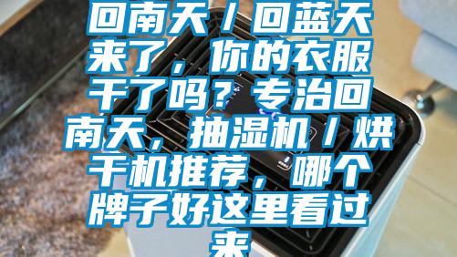 回南天／回藍天來了，你的衣服干了嗎？專治回南天，抽濕機／烘干機推薦，哪個牌子好這里看過來