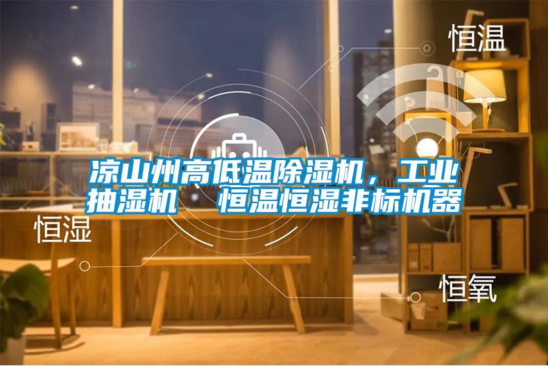 涼山州高低溫除濕機，工業(yè)抽濕機  恒溫恒濕非標機器