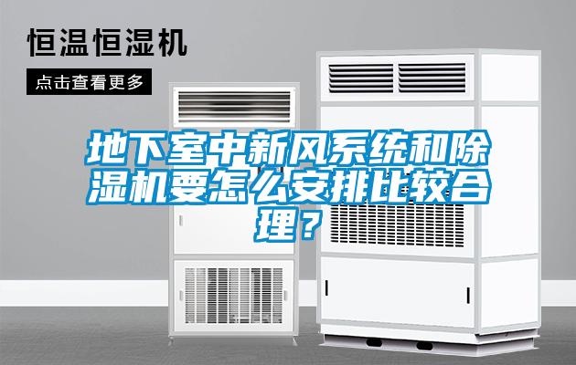 地下室中新風(fēng)系統(tǒng)和除濕機(jī)要怎么安排比較合理？