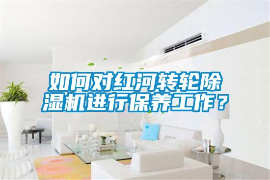 如何對紅河轉(zhuǎn)輪除濕機進行保養(yǎng)工作？