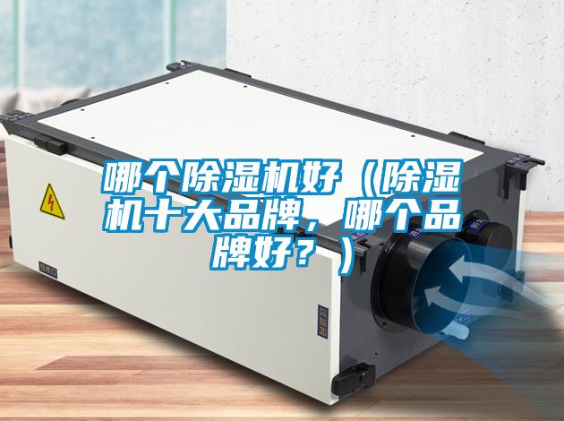 哪個除濕機好（除濕機十大品牌，哪個品牌好？）