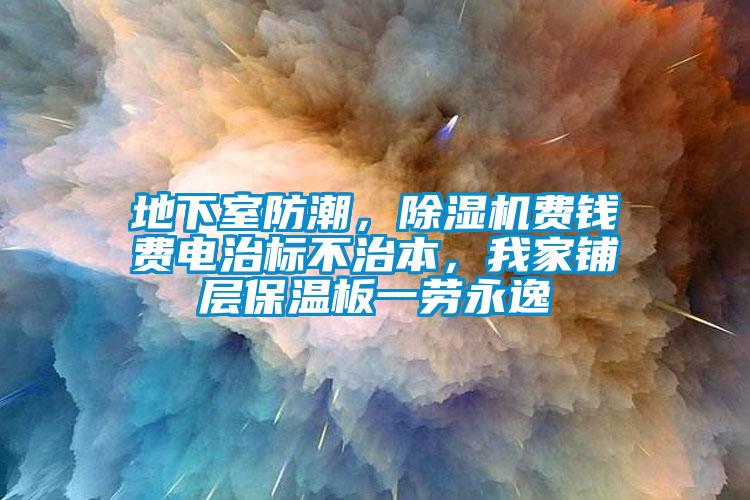 地下室防潮，除濕機(jī)費(fèi)錢費(fèi)電治標(biāo)不治本，我家鋪層保溫板一勞永逸