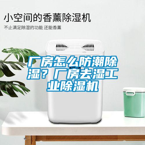 廠房怎么防潮除濕？廠房去濕工業(yè)除濕機(jī)