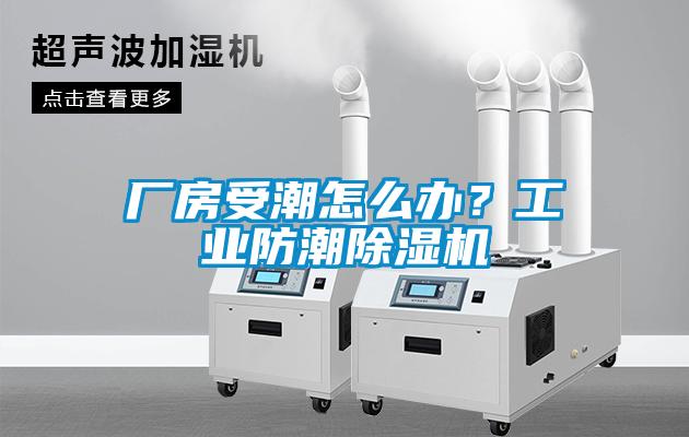 廠房受潮怎么辦？工業(yè)防潮除濕機(jī)