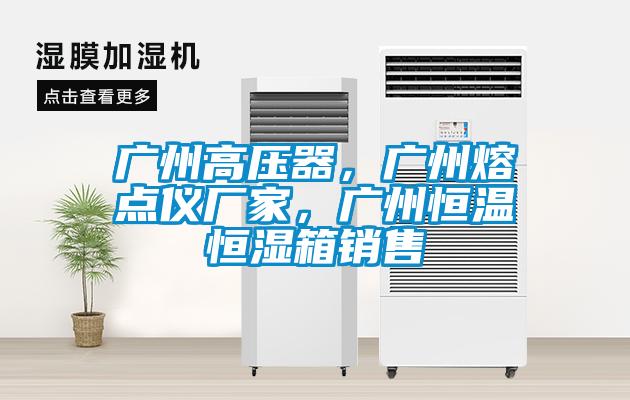 廣州高壓器，廣州熔點(diǎn)儀廠家，廣州恒溫恒濕箱銷售