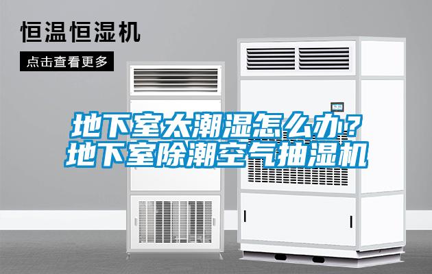 地下室太潮濕怎么辦？地下室除潮空氣抽濕機(jī)