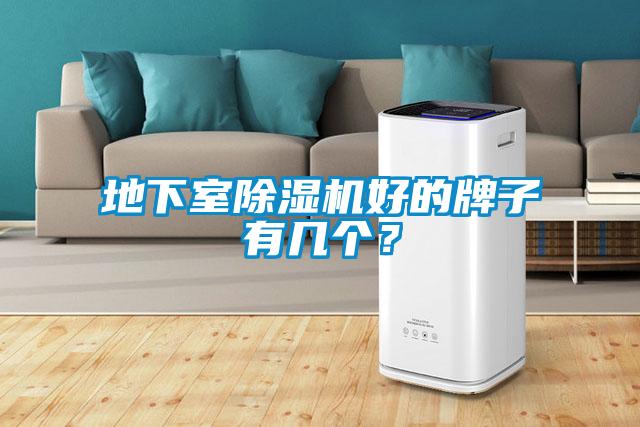 地下室除濕機(jī)好的牌子有幾個(gè)？