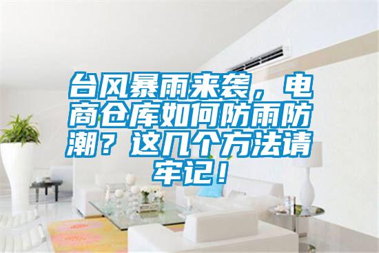 臺風(fēng)暴雨來襲，電商倉庫如何防雨防潮？這幾個方法請牢記！