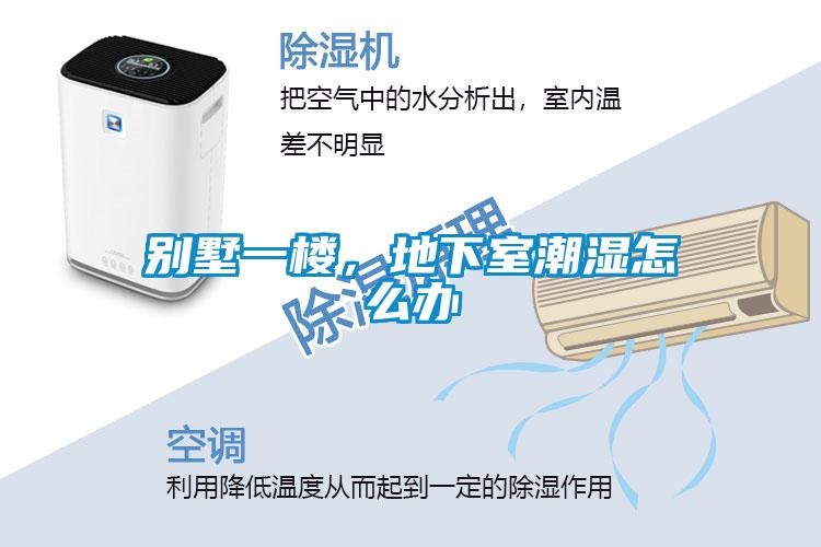 別墅一樓，地下室潮濕怎么辦