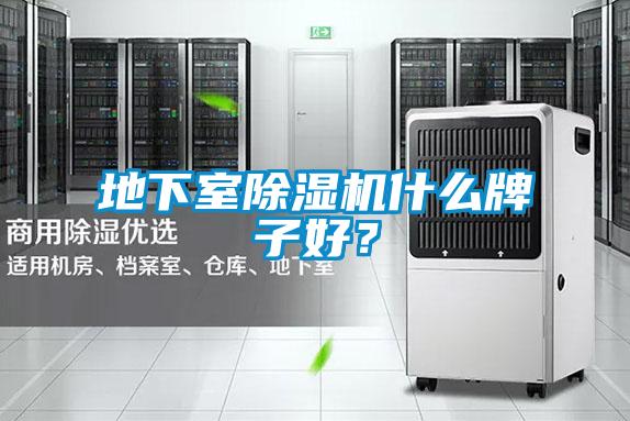 地下室除濕機(jī)什么牌子好？