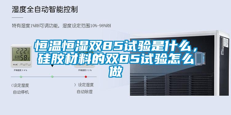 恒溫恒濕雙85試驗是什么，硅膠材料的雙85試驗怎么做