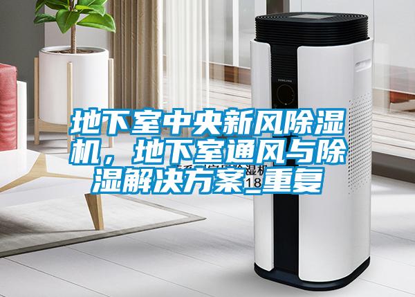 地下室中央新風(fēng)除濕機(jī)，地下室通風(fēng)與除濕解決方案_重復(fù)