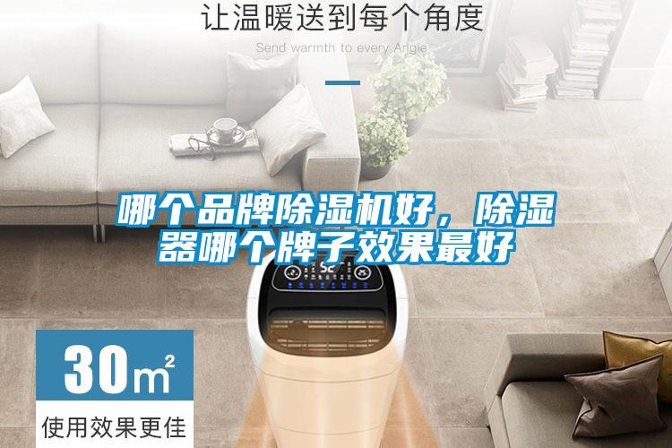 哪個品牌除濕機好，除濕器哪個牌子效果最好