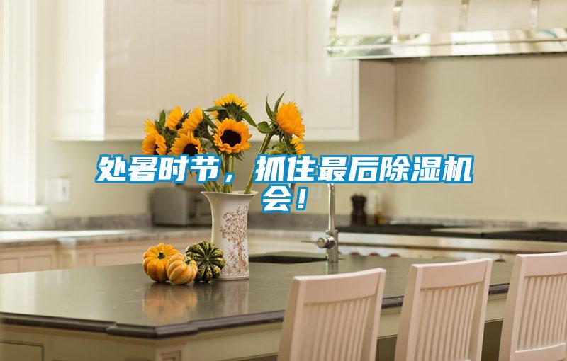 處暑時(shí)節(jié)，抓住最后除濕機(jī)會(huì)！
