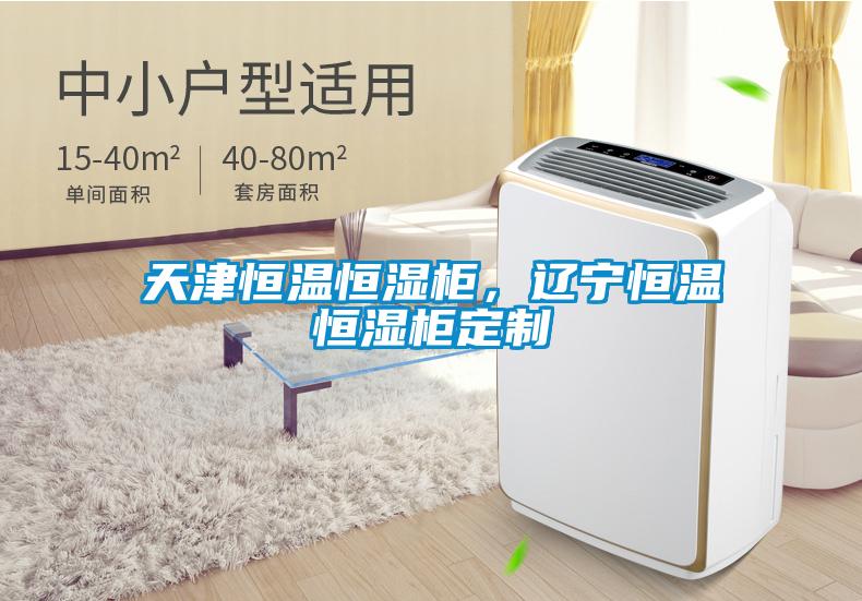 天津恒溫恒濕柜，遼寧恒溫恒濕柜定制