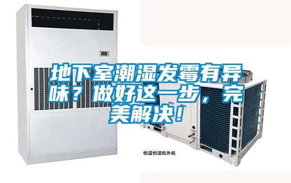 地下室潮濕發(fā)霉有異味？做好這一步，完美解決！