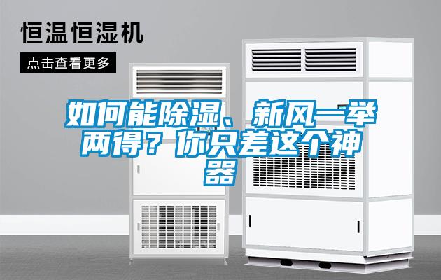 如何能除濕、新風(fēng)一舉兩得？你只差這個(gè)神器