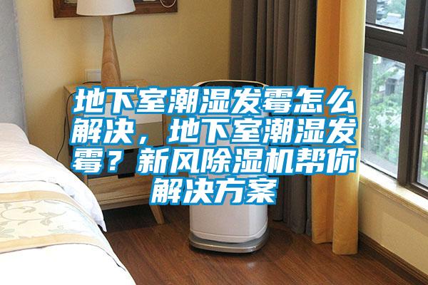地下室潮濕發(fā)霉怎么解決，地下室潮濕發(fā)霉？新風除濕機幫你解決方案