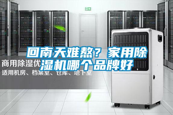 回南天難熬？家用除濕機哪個品牌好