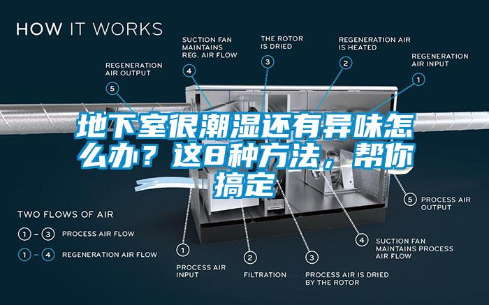 地下室很潮濕還有異味怎么辦？這8種方法，幫你搞定