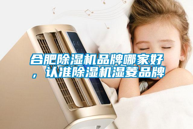 合肥除濕機(jī)品牌哪家好，認(rèn)準(zhǔn)除濕機(jī)濕菱品牌
