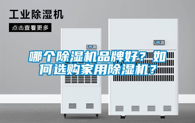 哪個除濕機品牌好？如何選購家用除濕機？