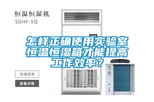 怎樣正確使用實驗室恒溫恒濕箱才能提高工作效率？