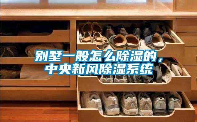 別墅一般怎么除濕的，中央新風(fēng)除濕系統(tǒng)