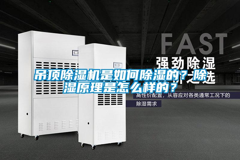 吊頂除濕機(jī)是如何除濕的？除濕原理是怎么樣的？