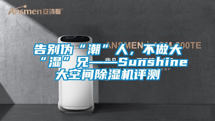 告別偽“潮”人，不做大“濕”兄——Sunshine大空間除濕機評測