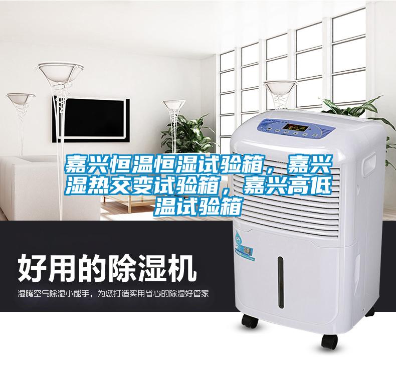 嘉興恒溫恒濕試驗箱，嘉興濕熱交變試驗箱，嘉興高低溫試驗箱