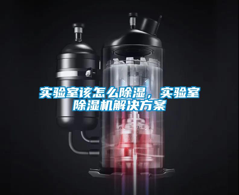 實(shí)驗(yàn)室該怎么除濕，實(shí)驗(yàn)室除濕機(jī)解決方案