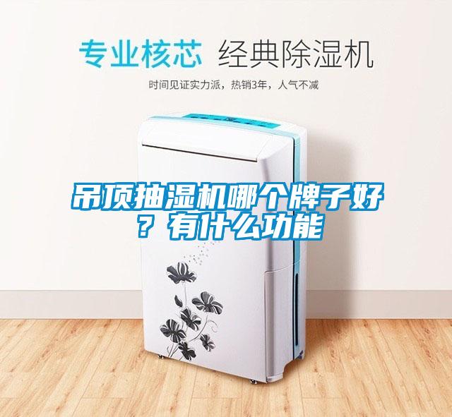 吊頂抽濕機(jī)哪個(gè)牌子好？有什么功能