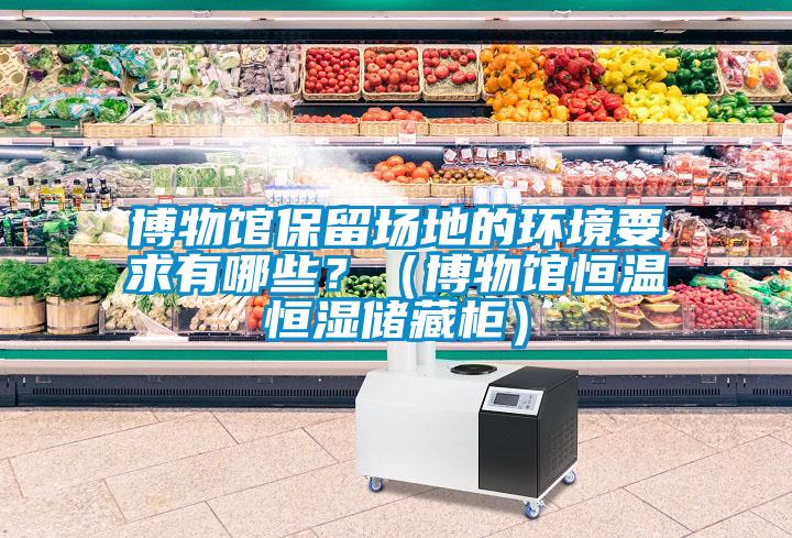 博物館保留場地的環(huán)境要求有哪些？（博物館恒溫恒濕儲(chǔ)藏柜）
