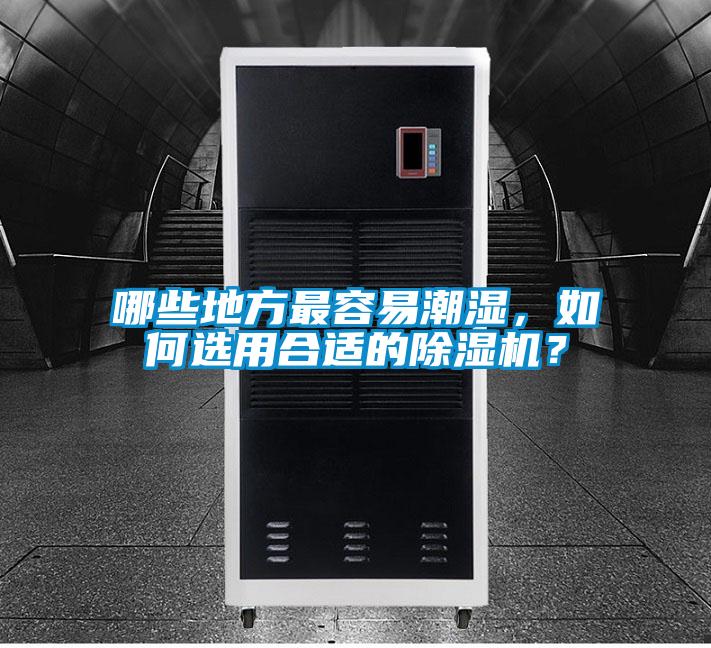 哪些地方最容易潮濕，如何選用合適的除濕機(jī)？