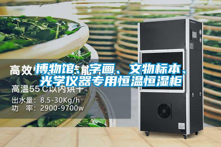 博物館、字畫、文物標(biāo)本、光學(xué)儀器專用恒溫恒濕柜