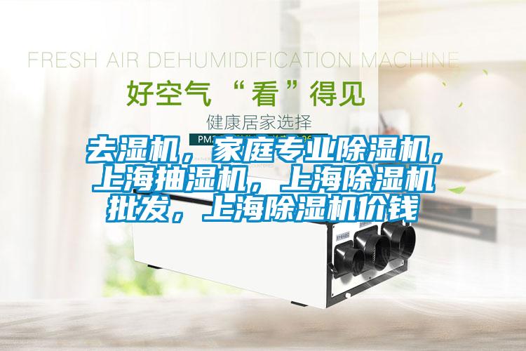 去濕機(jī)，家庭專業(yè)除濕機(jī)，上海抽濕機(jī)，上海除濕機(jī)批發(fā)，上海除濕機(jī)價錢