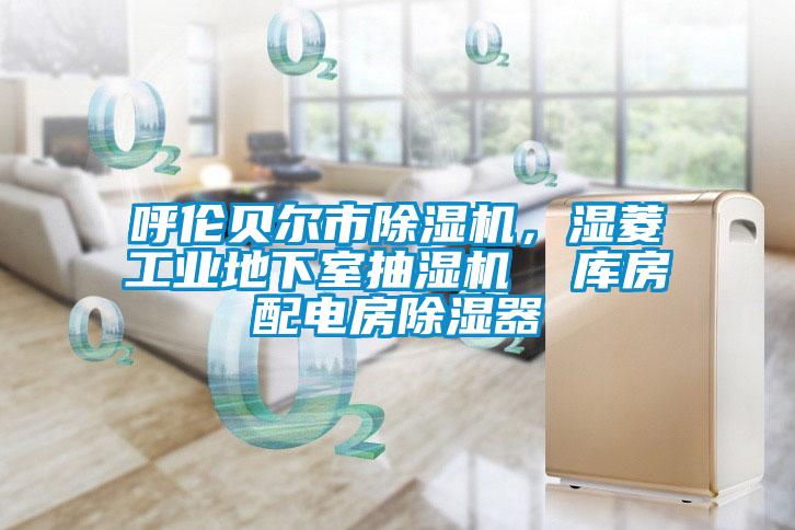 呼倫貝爾市除濕機(jī)，濕菱工業(yè)地下室抽濕機(jī)  庫房配電房除濕器