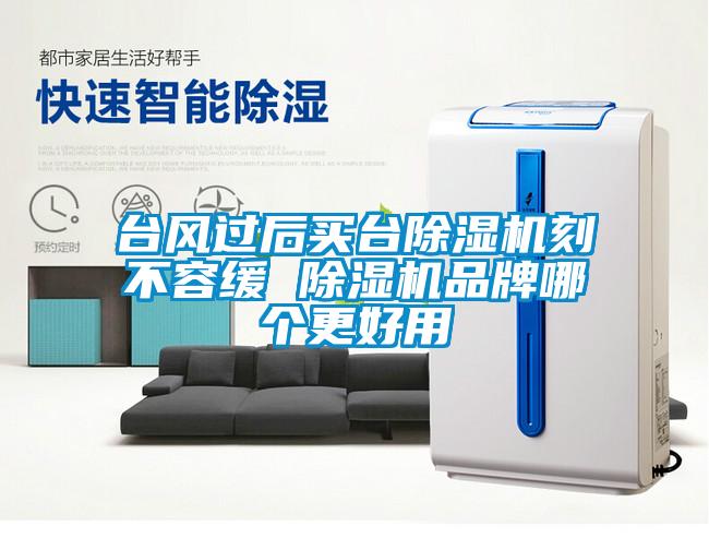 臺風(fēng)過后買臺除濕機(jī)刻不容緩 除濕機(jī)品牌哪個(gè)更好用