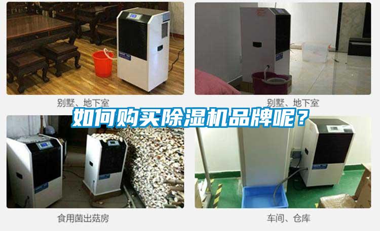 如何購買除濕機品牌呢？