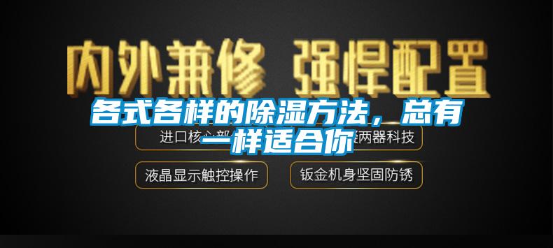 各式各樣的除濕方法，總有一樣適合你