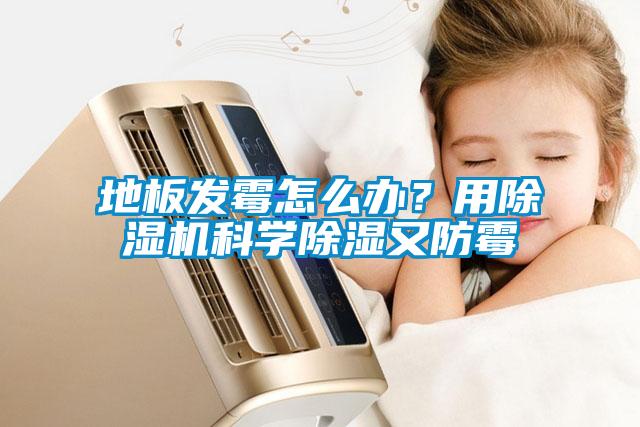 地板發(fā)霉怎么辦？用除濕機(jī)科學(xué)除濕又防霉