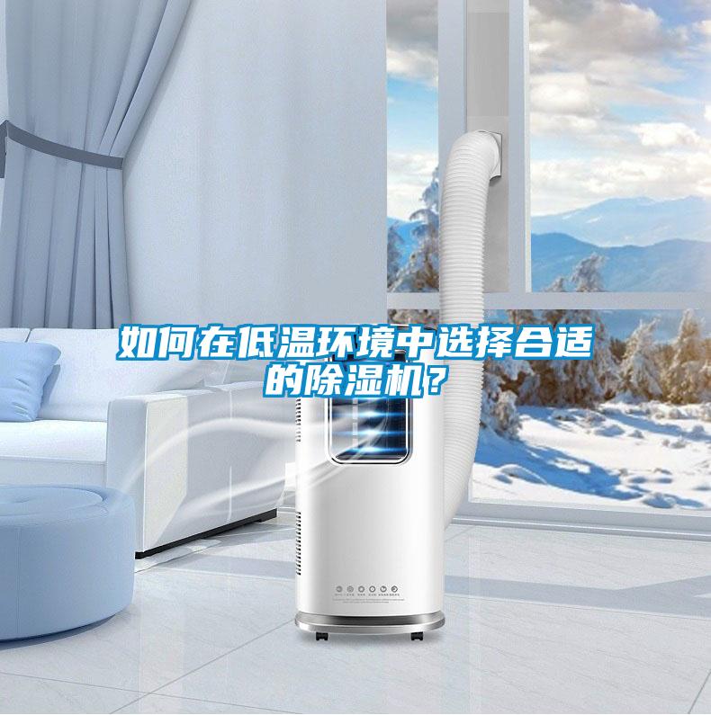 如何在低溫環(huán)境中選擇合適的除濕機(jī)？