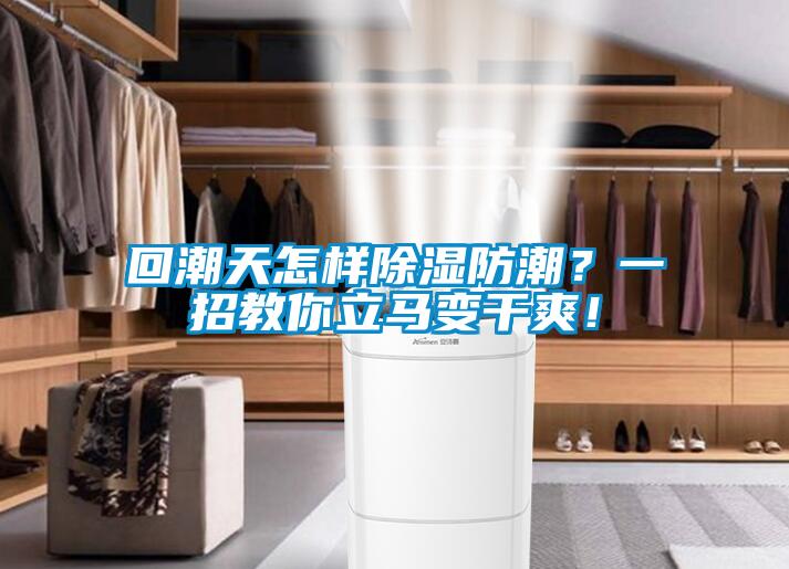 回潮天怎樣除濕防潮？一招教你立馬變干爽！