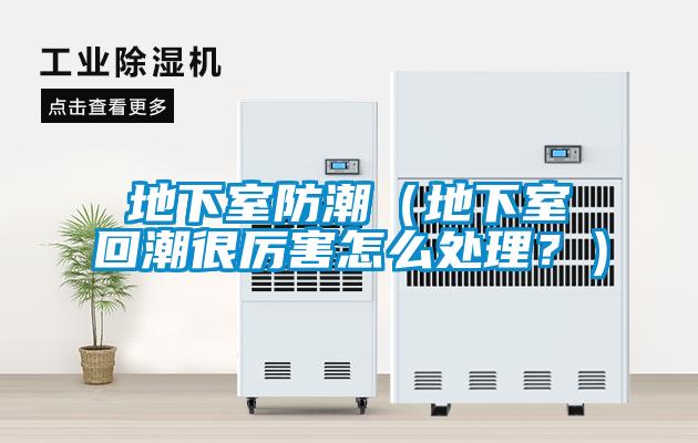 地下室防潮（地下室回潮很厲害怎么處理？）