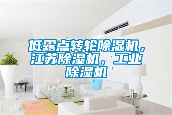 低露點轉(zhuǎn)輪除濕機(jī)，江蘇除濕機(jī)，工業(yè)除濕機(jī)